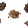 raw mdma